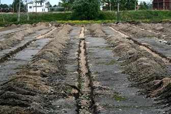 Zdjęcia z albumu 2006-08-31 - Budowa boiska ze sztuczną nawierzchnią - Raków