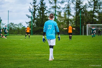 Sokół Wręczyca Wielka - Warta Pławno